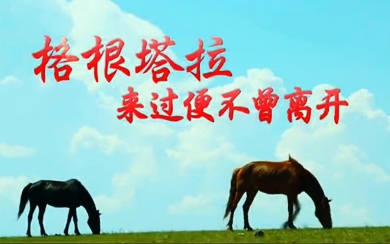 &#40857;&#56;&#45;&#108;&#111;&#110;&#103;&#56;&#40;&#20013;&#22269;&#41;&#21807;&#19968;&#23448;&#26041;&#32593;&#31449;&#45;&#31185;&#25216;&#39046;&#33322;&#31449;